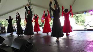 Chinese Dancers At iFest 2017