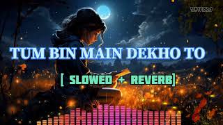 Tum Bin Main Dekhu To Kya Se Kya Ho Baithi | Slowed And Reverb | Lofi Songs | Lofi