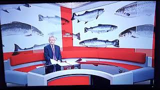 BBC Look East evening news on salmon farm protest