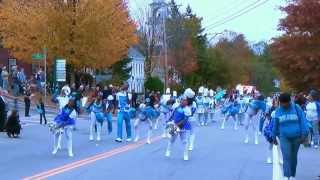 MadgeTech brings The Band Marching Unit to Warner Fall Festival