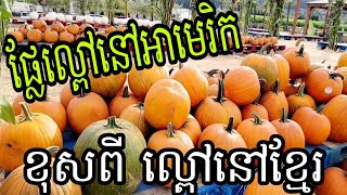 ល្ពៅ នៅអាមេរិក ខុសពី ល្ពៅនៅខ្មែរ