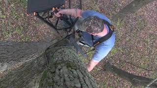 How to hang a tree stand