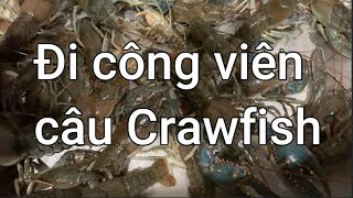 Đi công viên câu Crawfish- Tôm hùm đất tại Arizona, Mỹ | Dung Võ Vàm Cỏ