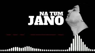 Na tum jano na hum Reprised