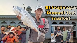 Bangalore Shivajinagar Russell market ||biggest fish market🐠🐟|full detail video with price