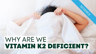 Dr. Hogne Explains | Why Are We Vitamin K2 Deficient?