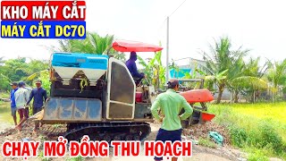 Xem Cảnh Máy Cắt DC 70 Chạy Mở Đồng Thu Hoạch Lúa Đông Xuân | Kho Máy Cắt .