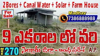 9 ఎకరాల వ్యవసాయ భూమి || Paddy|| Nellore District || Agriculture land for sale ||7386888988|| MRE-270