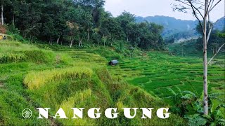 Jemput Air Songsong Asa (Nanggung)