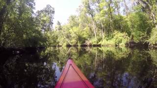 Kayak Jacksonville  - Thomas Creek