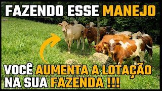 Fazendo esse MANEJO você AUMENTA a LOTAÇÃO da fazenda !!