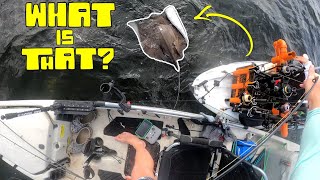 Dodging Sea Turtles To Catch This GIANT Fish - New Port Richey Kayak Fishing