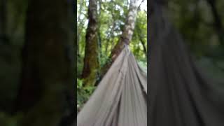 Unplugged my headphones and was just listening to the bird sounds relaxing in the hammock