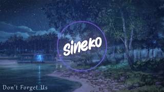 Sineko - Don't Forget Us