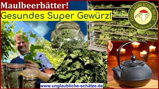 Maulbeer Blätter - Super Gewürz - lecker und gesund! Teil 1 der Vorrat! September 2024