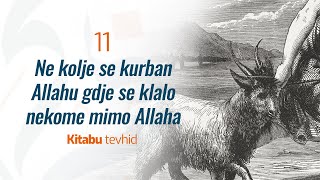 11 Ne kolje se kurban Allahu gdje se klalo nekome mimo Allaha | Kitabu tevhid | dr. Zijad Ljakić