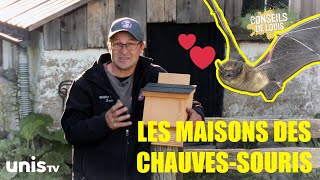 Les différentes maisons des chauves-souris