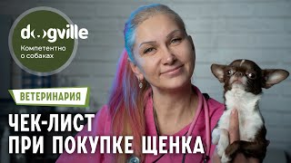 Покупка щенка – Чек-лист ветеринарного врача