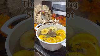 THANKSGIVING SIMMER POT ♨️🍎 A great idea for hosting on Thanksgiving day! #thanksgivingideas