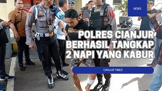 Napi Kabur di Cianjur Kembali Tertangkap | Cianjur Times