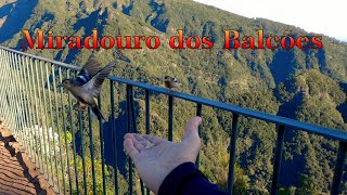 Miradouro dos Balcões, Madeira