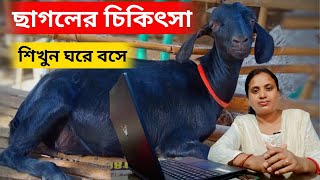 ছাগলের চিকিৎসা শিখুন ঘরে বসেই। goat farming training in West Bengal.