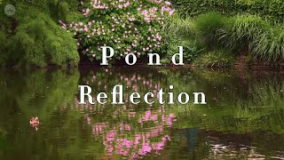 Pond Reflection : Music Makes Mind Haven