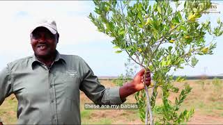 Conservation Roots | Great Plains Conservation