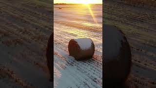 Winter hay bale  #gradient_imaging #alberta #dronevideo