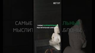 🕊️Практика в нашем телеграм-канале (ссылка в описании профиля) #MotivyПрактика #Shorts