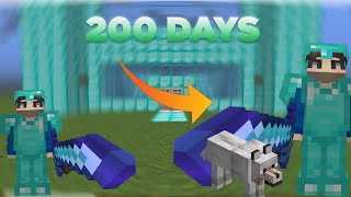 I survived 200 days in Minecraft! (World tour)