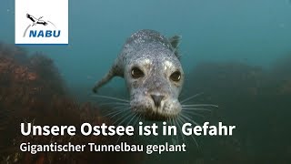 Unsere Ostsee ist in Gefahr - Mega-Tunnel geplant