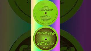 CHICAGO TRAX Vinyl Brasil 1995 Preview