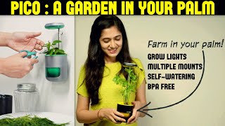 A Garden in Your Palm | PICO