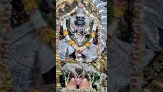 Sri Sri Narasimha Dev Darshan in ISKCON Mayapur West Bengal India 🇮🇳 ♥️