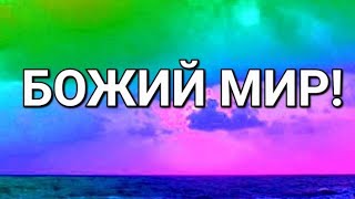 Пророческое Слово- БОЖИЙ МИР! #viral #сила #слава #победа #вера #мир #радость #ответы #чудеса #елей