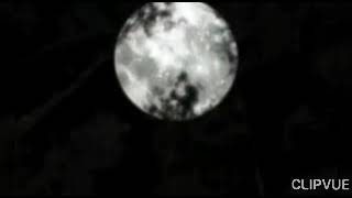 Hijo de la Luna (letra) Stravaganzza