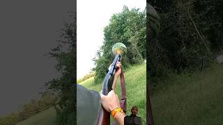 Wincheser Model 12 Gauge💥😳Watermelon 💥#shorts #trending #viral #gun #hunting #shotgun