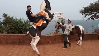 Risky Stunts on a Horse at Mahabaleshwar