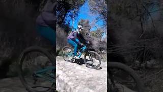 Rare sighting - Mountain bikers spot bald eagles in SoCal