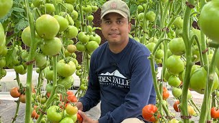 Cómo tener éxito en tu finca, huerta oh agricultura en general! 6 plataformas para el ÉXITO agrícola