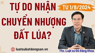 Quy định mới về chuyển nhượng đất trồng lúa – Luật đất đai 2024