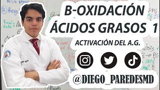 β-Oxidación 1-Activación de Ácidos Grasos -BIOQUÍMICA