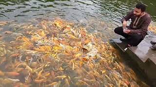 Aquarium fish || একুরিয়ামের মাছ || সুন্দর সুন্দর মাছ || পুকুরের মাছ ||