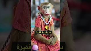 بس الناس تعرف اني سورية😄🇸🇾 #سوريا #shorts