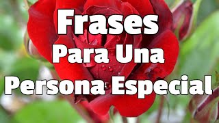 27 Frases Para Una Persona Especial - Frases Con Imágenes y Mensajes Escogidos