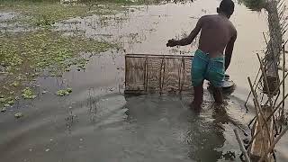 Darky fishing video 2024।। Amazing fishing video 2024 ।। rsl fish cutting