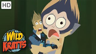 Wild Kratts | Bugs or Monkeys? | Full Episode | Season 2