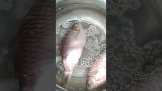 #cooking fast cooking fish