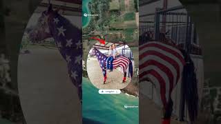 👀Patriotic horse🦓 real 👀 life on  google earth map 🌎 zooming short video 🤯#shorts #h2googleearth